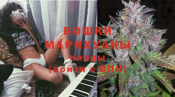 кокс Арсеньев