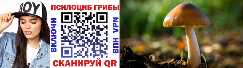 Псилоцибиновые грибы MAGIC MUSHROOMS  маркетплейс состав  Луховицы 